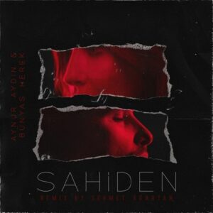 Sahiden Remix